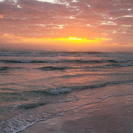 Siesta Key Condo - On The Water ! Exteriör bild