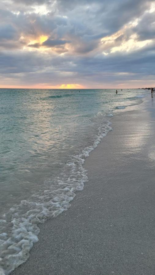 Siesta Key Condo - On The Water ! Exteriör bild