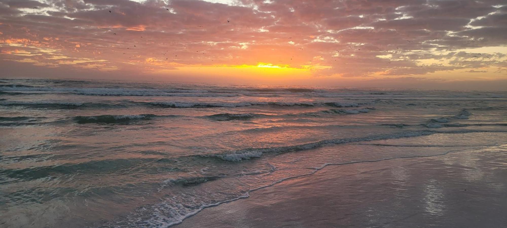 Siesta Key Condo - On The Water ! Exteriör bild